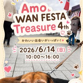 6/14（日）「Amo WAN FESTA Treasure 4th」にキッチンカー鹿野園が出店します！